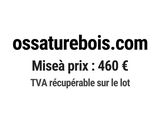 Photo 1/1 du lot