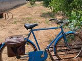 a blue bicycle that is parked next to a tree