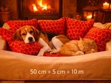 un chien et un chat allongés dans un panier pour chien