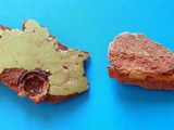 deux parts de gâteau posées sur un fond bleu