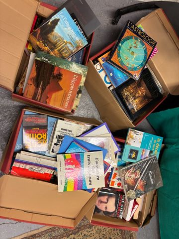 Lot de 4 cartons dont livres d’art, peinture , ouvrages sur les v...