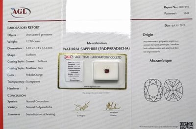 une photo d'un certificat sur lequel figure une pomme rouge