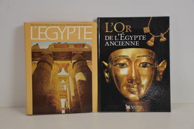 deux livres posés sur une table, sur fond blanc, avec une couverture noire et dorée