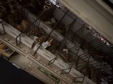une cage à oiseaux remplie d'une multitude d'oiseaux