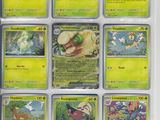 de nombreuses cartes Pokémon exposées dans une vitrine