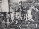 un dessin représentant un homme à cheval dans une écurie