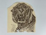 a drawing of a tiger on a piece of paper