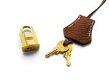 a key and a leather case with a lock on it