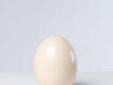 une boule blanche posée sur une table près d'un mur blanc