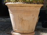 une grande plante dans un grand pot en pierre posé à même le sol