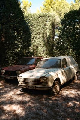 deux vieilles voitures garées l'une à côté de l'autre dans les bois