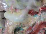 an image of a close up of a piece of food