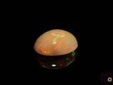 a close up of an oplite in the dark with a black background