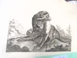une photo d'un chat assis sur une table