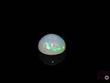 an oplite in the dark with a black background