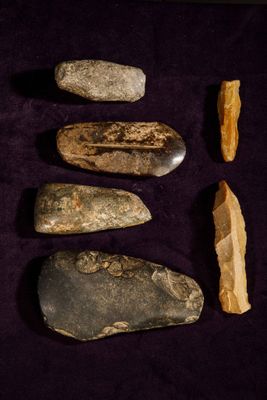 several different types of rocks are arranged in a row on a purple surface