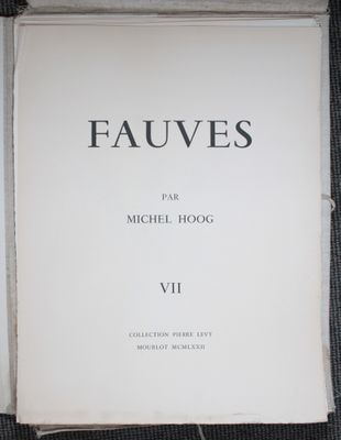 la couverture d'un livre intitulé « Les Fauves »