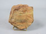 a rock that is sitting on a stand on a table
