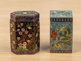 pair of chinese cloisons of cloisons with dragon and flowers on them