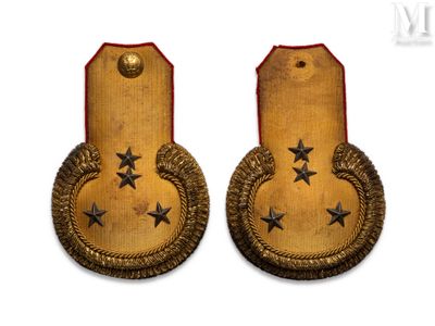 pair of military badges with stars on them on a white background