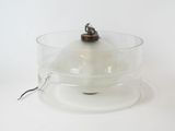 a small insect that is sitting on top of a glass bowl