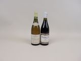 deux bouteilles de vin posées l'une à côté de l'autre sur une surface blanche