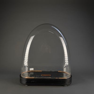 an image of a glass dome with a wooden base on a gray background