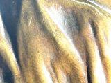 a close up of a painting of a woman ' s back