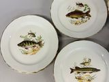 four plates with fish designs on them are arranged on a table