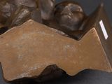 a bronze sculpture of a fish on a rock