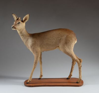 une statue représentant un cerf debout sur un socle en bois