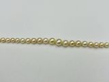 a single strand of pearl beads on a white surface