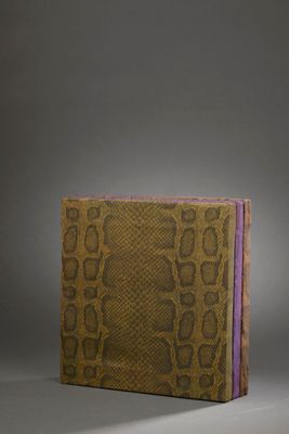 an image of a brown and purple book with a snake skin cover
