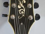 a close up of an electric guitar with a black neck