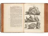 an open book with illustrations of various types of rocks and stones