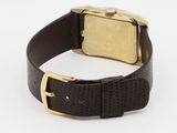 an image of a watch on a white surface with a brown strap