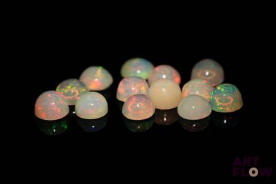 several white oplites are arranged in a row on a black surface