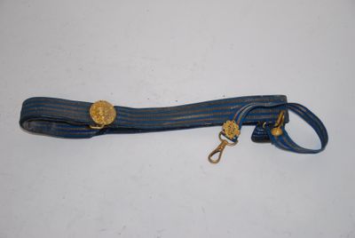 blue and white striped dog leash with a gold buckle
