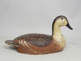 a brown and black duck sitting on a white surface