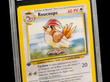 une image d'une carte Pokémon sur laquelle figure un oiseau