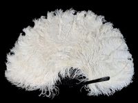 Plumes blanches, Europe, vers 1890-1900