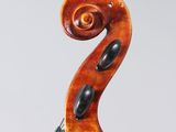 a close up of the back of a violin with a fiddle in the foreground