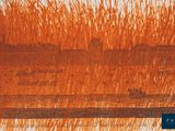 a picture of a painting of a boat in the water