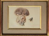 tableau représentant un champignon sur lequel est posée une mouche, avec un insecte au sol