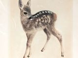 painting of a fawn in a frame with a white background