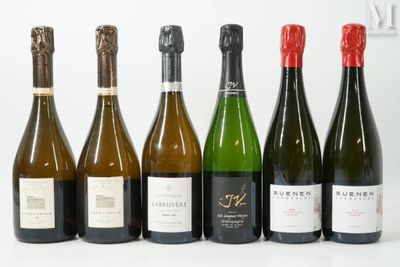 six bouteilles de vin sont alignées sur une surface blanche