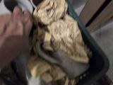 a person that is holding a tray of bananas