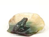 a frog that is sitting on a leaf in the water