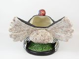 a bird that is sitting on top of a bowl