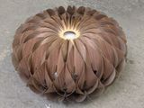 an image of a brown pumpkin on the ground